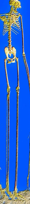 Long sword item